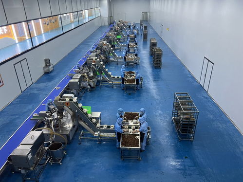 實地觀摩見證陜南綠色轉型發展